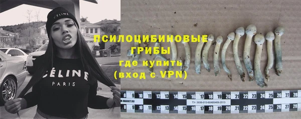 СК Абдулино