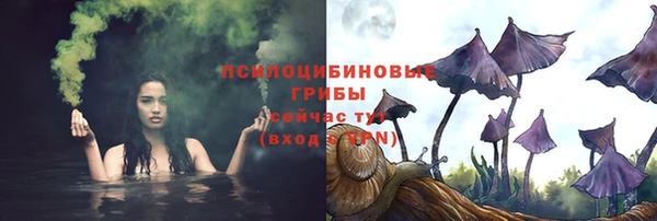 2c-b Алексин