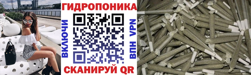 дарнет шоп  Райчихинск  Бошки марихуана Amnesia 